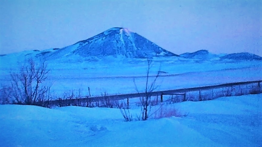 0077 Heydon Ranch Cattle and Sunrise