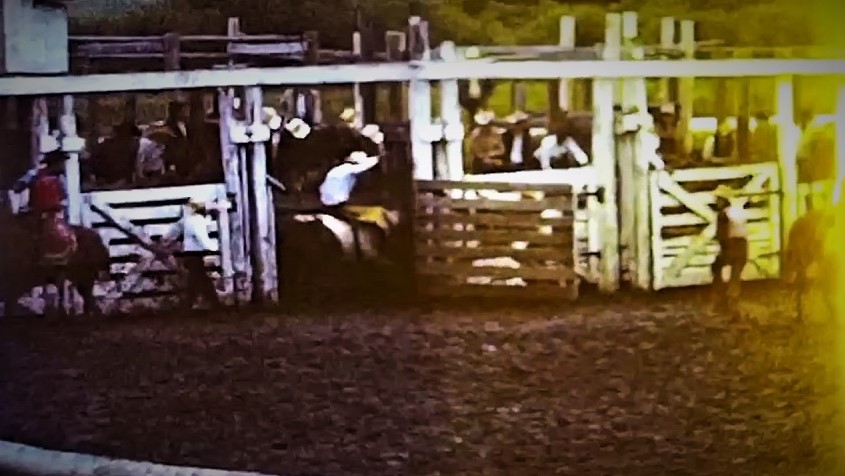 0104 Rodeo Bareback Cypress Hills Canada One