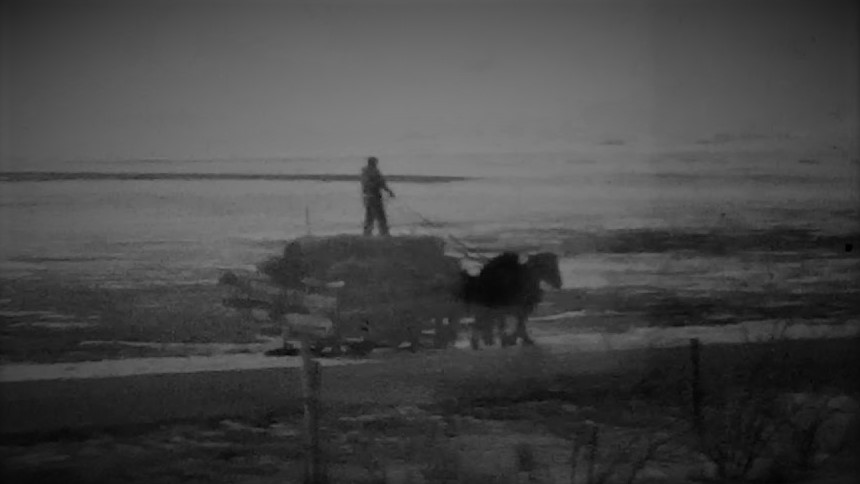 0124 Lester Idie gets Hay with the Horses