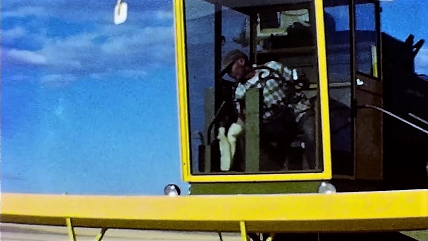 0140 Ferroll Heydon Harvesting Fern Alvin and Llyod